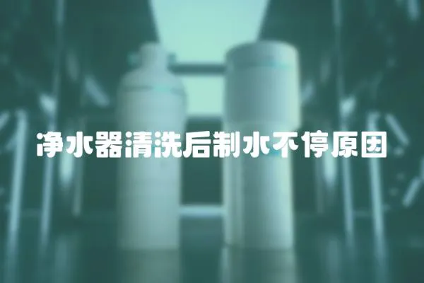 凈水器清洗后制水不停原因