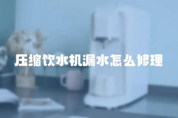 壓縮飲水機(jī)漏水怎么修理