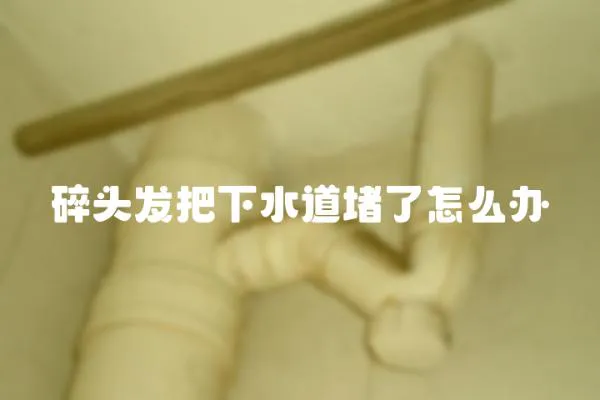 碎頭發把下水道堵了怎么辦