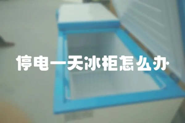 停電一天冰柜怎么辦