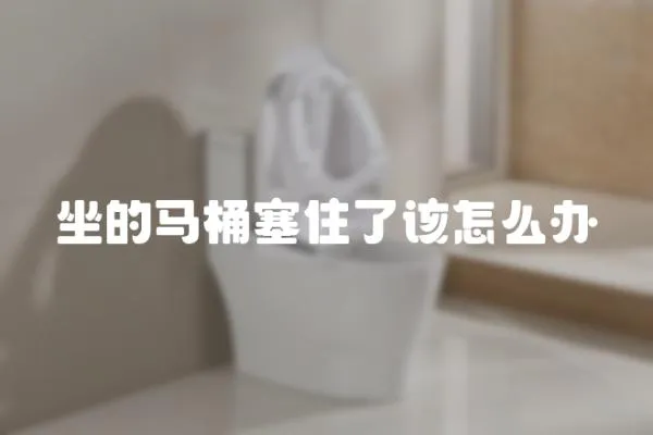 坐的馬桶塞住了該怎么辦