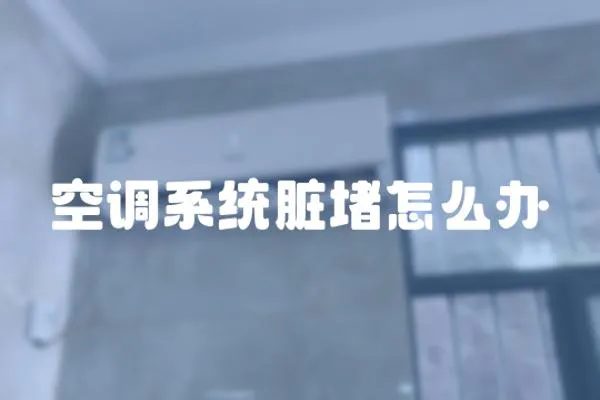 空調(diào)系統(tǒng)臟堵怎么辦