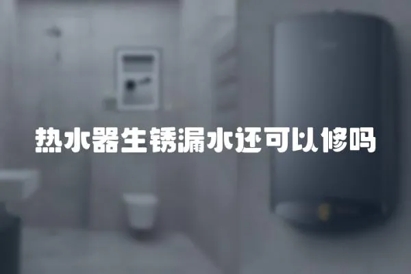熱水器生銹漏水還可以修嗎