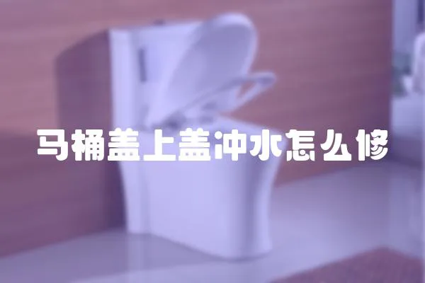 馬桶蓋上蓋沖水怎么修