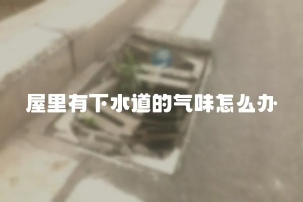 屋里有下水道的氣味怎么辦
