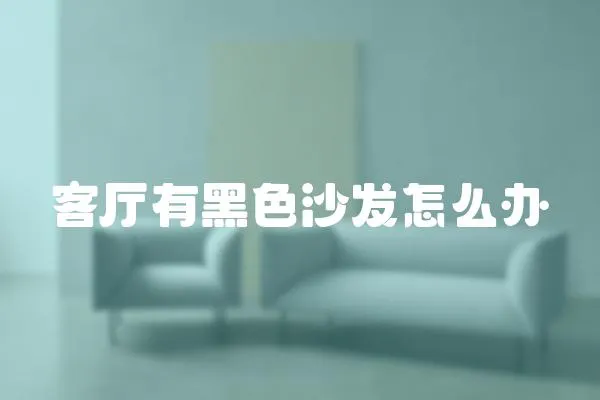 客廳有黑色沙發(fā)怎么辦