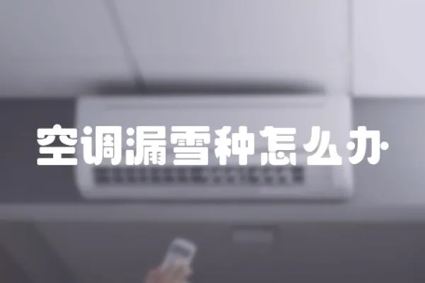 空調(diào)漏雪種怎么辦