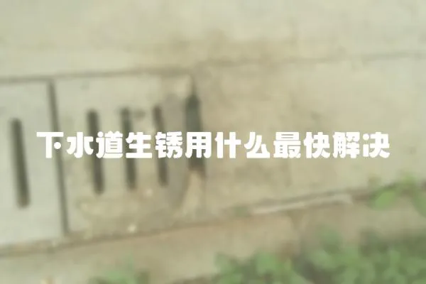 下水道生銹用什么最快解決