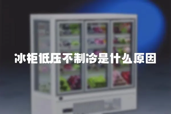 冰柜低壓不制冷是什么原因