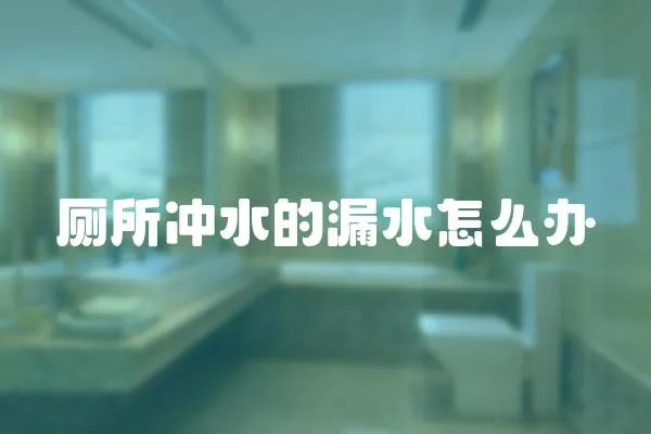 廁所沖水的漏水怎么辦