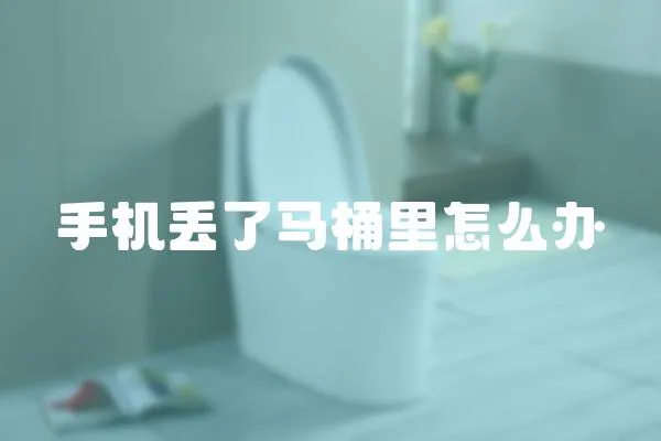 手機丟了馬桶里怎么辦