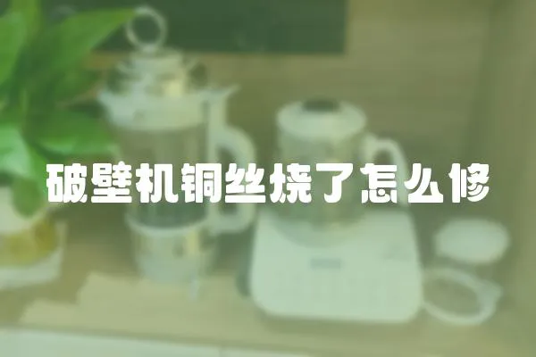 破壁機銅絲燒了怎么修