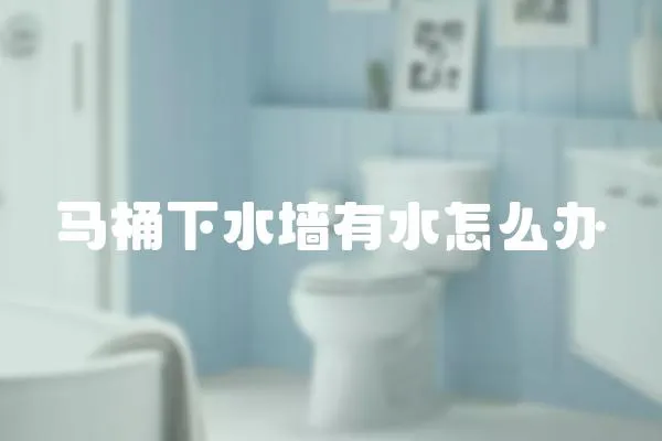 馬桶下水墻有水怎么辦