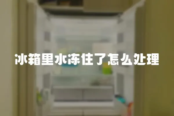 冰箱里水凍住了怎么處理
