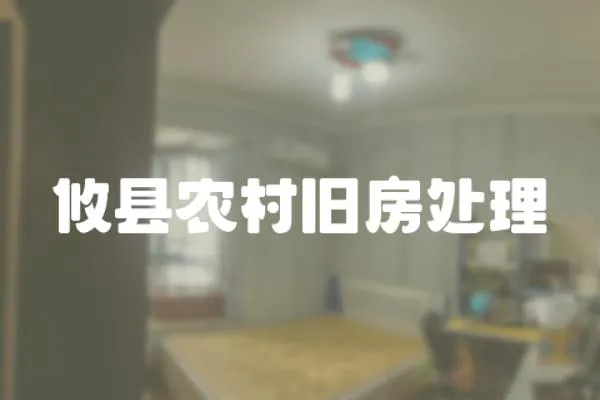 攸縣農(nóng)村舊房處理