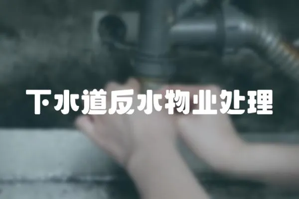 下水道反水物業處理