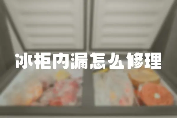 冰柜內漏怎么修理