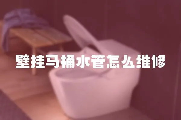 壁掛馬桶水管怎么維修