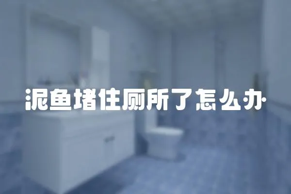 泥魚堵住廁所了怎么辦