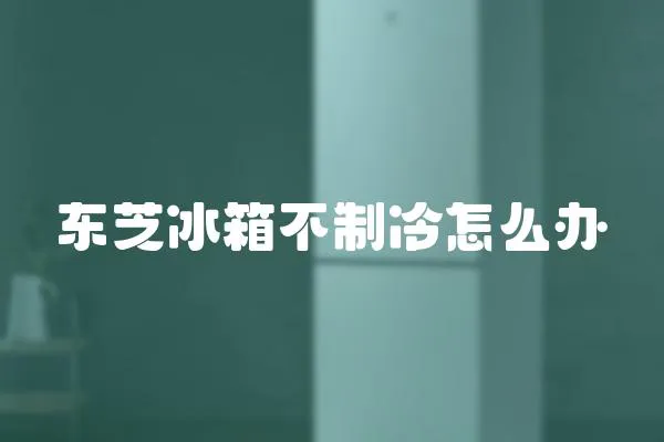 東芝冰箱不制冷怎么辦