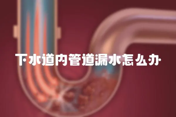 下水道內管道漏水怎么辦