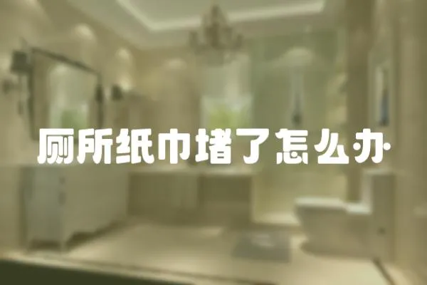 廁所紙巾堵了怎么辦