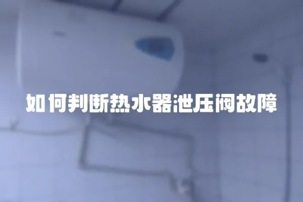如何判斷熱水器泄壓閥故障
