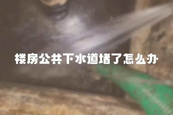 樓房公共下水道堵了怎么辦