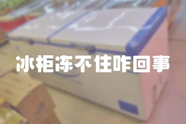 冰柜凍不住咋回事