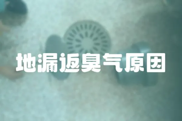 地漏返臭氣原因