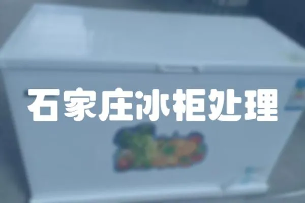 石家莊冰柜處理