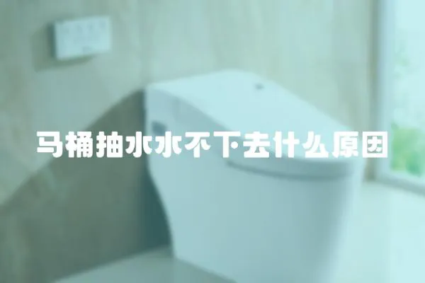 馬桶抽水水不下去什么原因