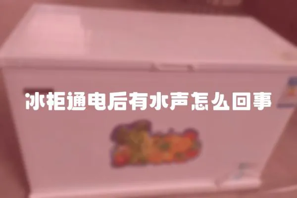 冰柜通電后有水聲怎么回事