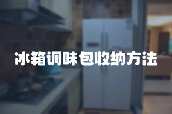 冰箱調(diào)味包收納方法