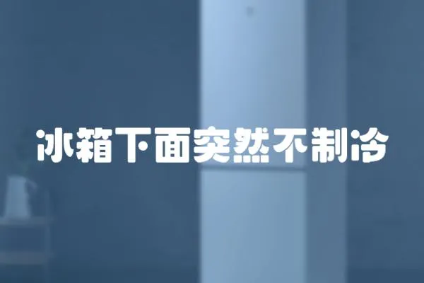 冰箱下面突然不制冷