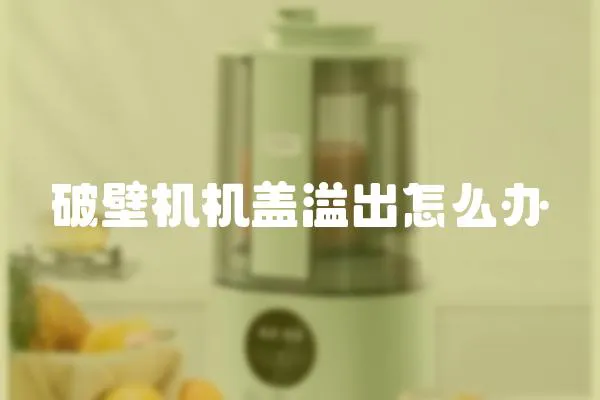 破壁機機蓋溢出怎么辦