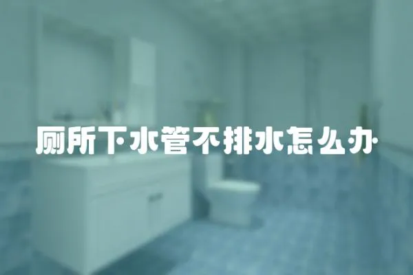 廁所下水管不排水怎么辦