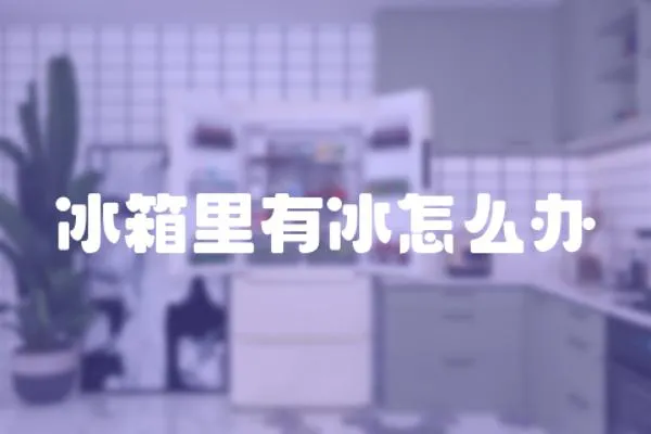 冰箱里有冰怎么辦