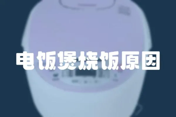 電飯煲燒飯原因