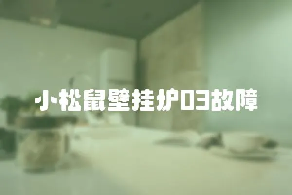 小松鼠壁掛爐03故障
