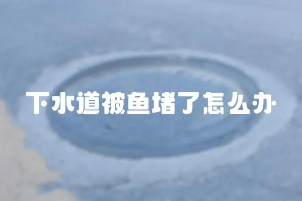 下水道被魚堵了怎么辦