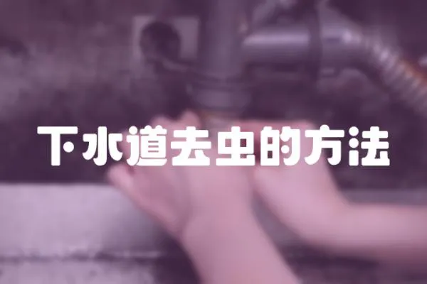下水道去蟲的方法