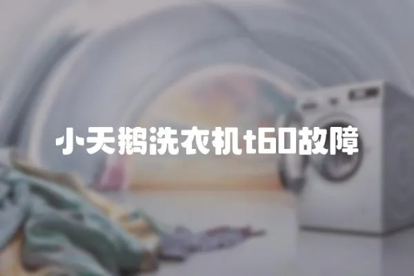 小天鵝洗衣機(jī)t60故障