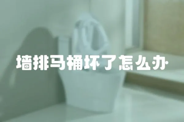 墻排馬桶壞了怎么辦