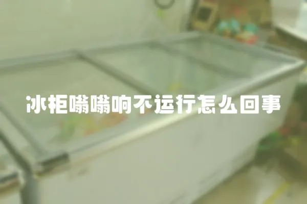 冰柜嗡嗡響不運行怎么回事