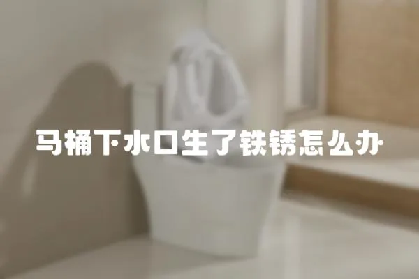 馬桶下水口生了鐵銹怎么辦
