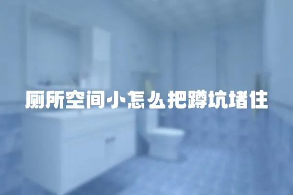 廁所空間小怎么把蹲坑堵住