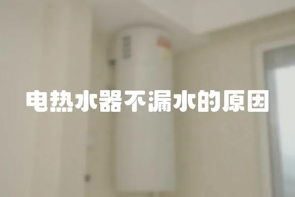 電熱水器不漏水的原因