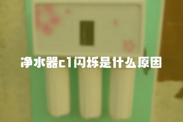凈水器c1閃爍是什么原因