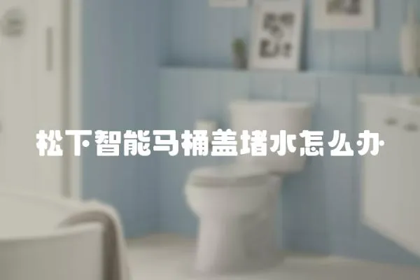 松下智能馬桶蓋堵水怎么辦